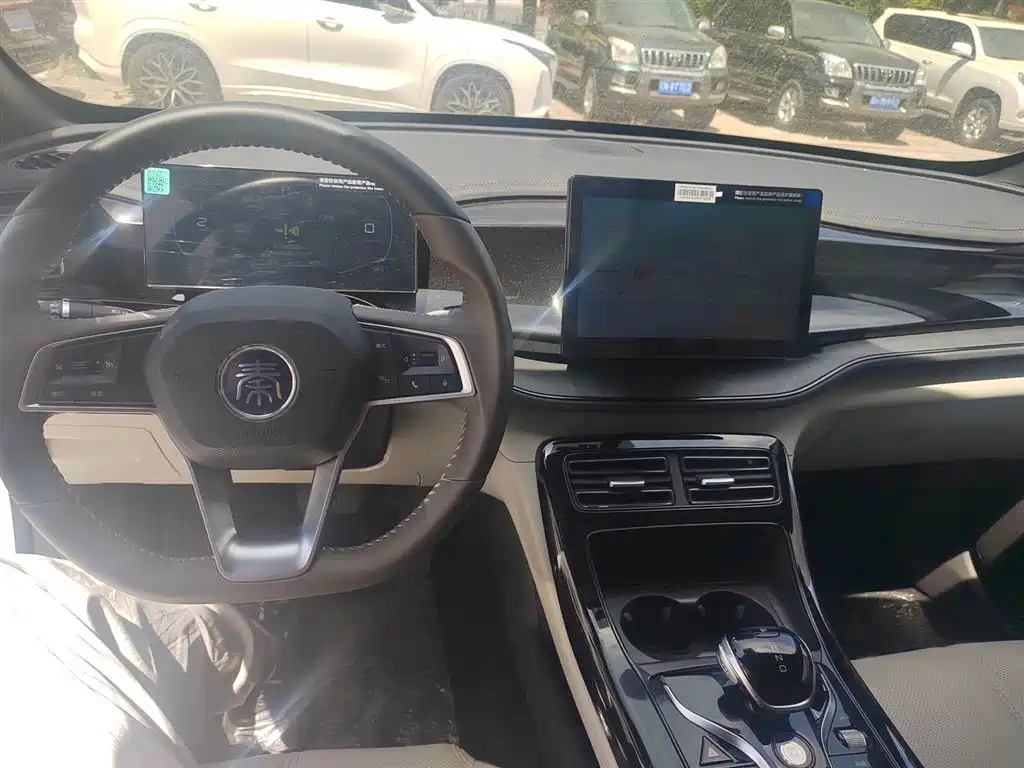 BYD Qin PLUS 2024 Glory Edition DM-i 55KM Leading фото 10