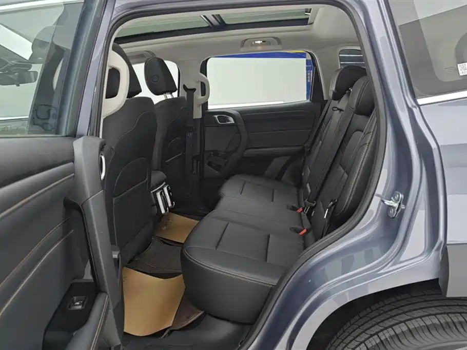 Haval Big Dog 2024 1.5T DCT Border Collie Edition фото 11