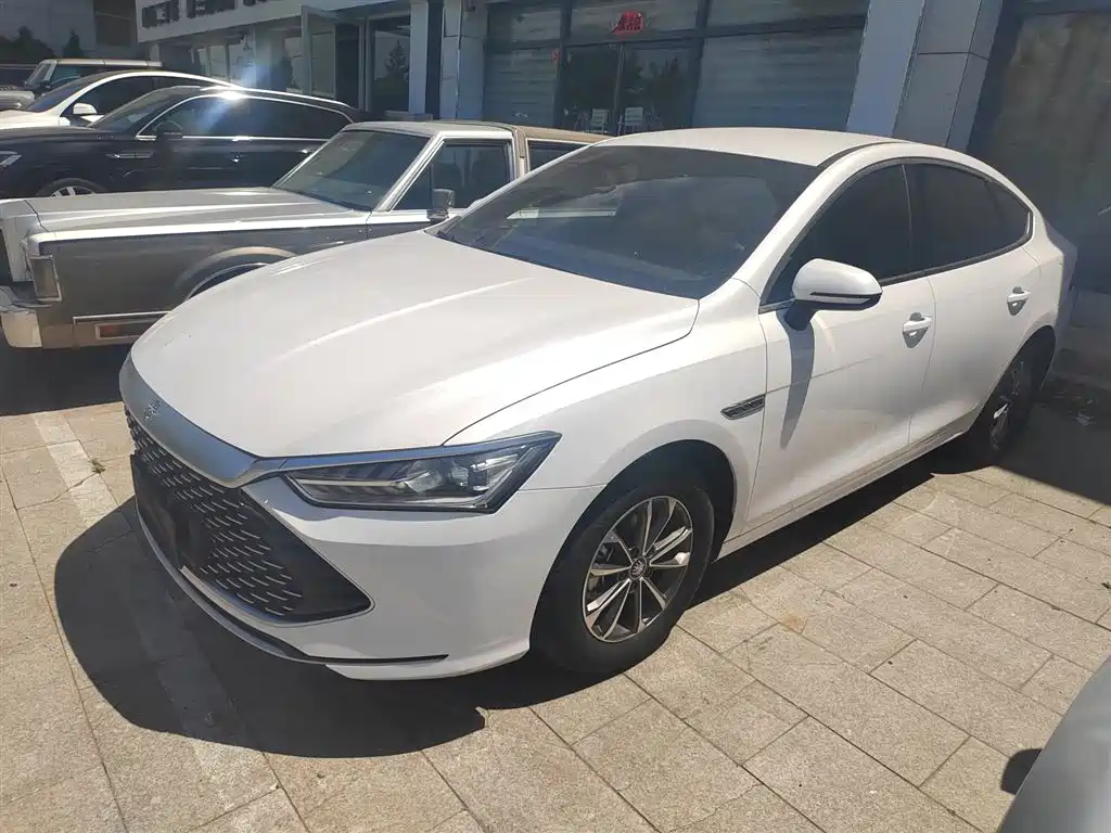 BYD Qin PLUS 2024 Glory Edition DM-i 55KM Leading фото 3