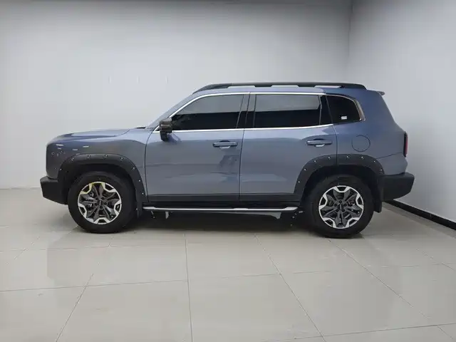 Haval Big Dog 2024 2.0T DCT Chinese Rural Dog Edition фото 2