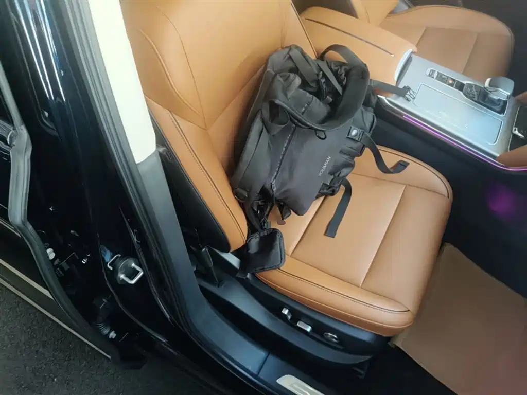 Hongqi HS7 PHEV 2025 2.0T PHEV 4WD 6-Seater Commemorative Edition фото 25