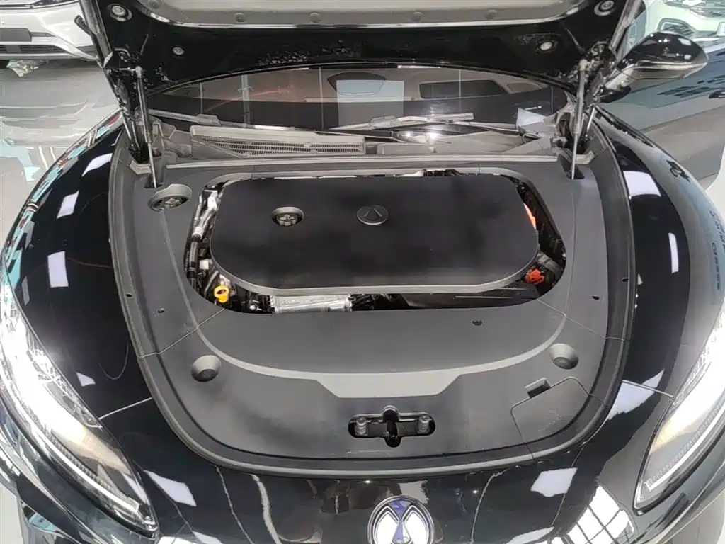 Denza Z9 2024 Model 1100km AWD Max Edition фото 20