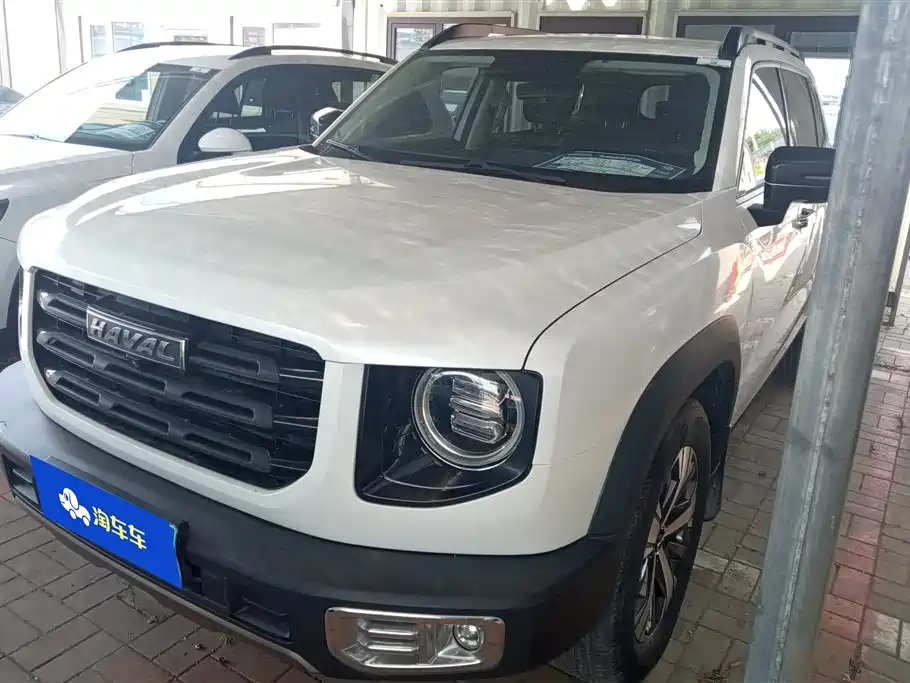 Haval Big Dog 2021 1.5T DCT 2WD Labrador Edition