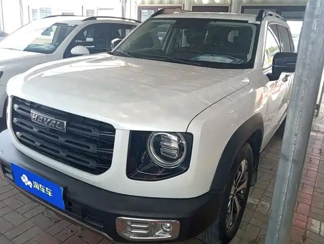 Haval Big Dog 2021 1.5T DCT 2WD Labrador Edition