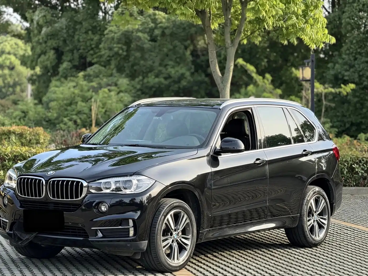 BMW X5 (Import) 2017 xDrive35i Elegance