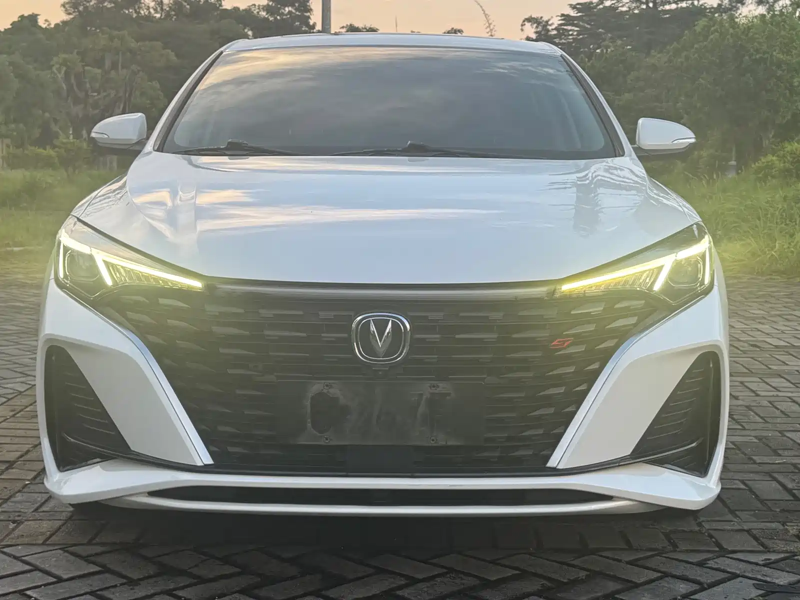 Фото 2 - Changan Eado