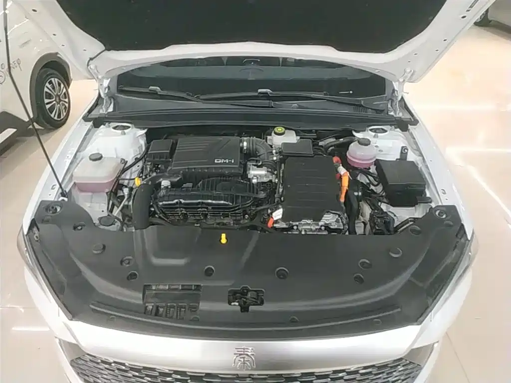BYD Qin PLUS 2024 Glory Edition DM-i 55KM Leading фото 20