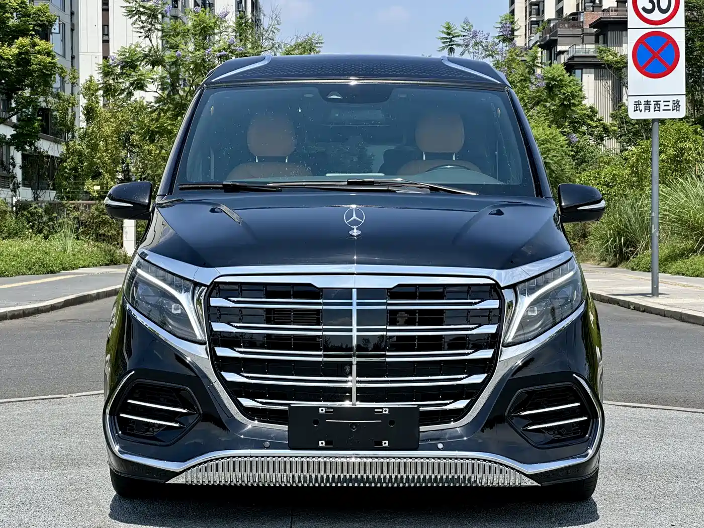 Mercedes-Benz V-Class 2022 V 260 L Long Wheelbase Luxury Edition фото 3