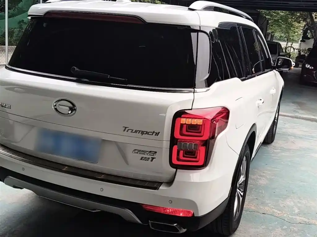 GAC Trumpchi Trumpchi GS8 2017 320T 2WD Luxury Smart Connect (7-seater) фото 7