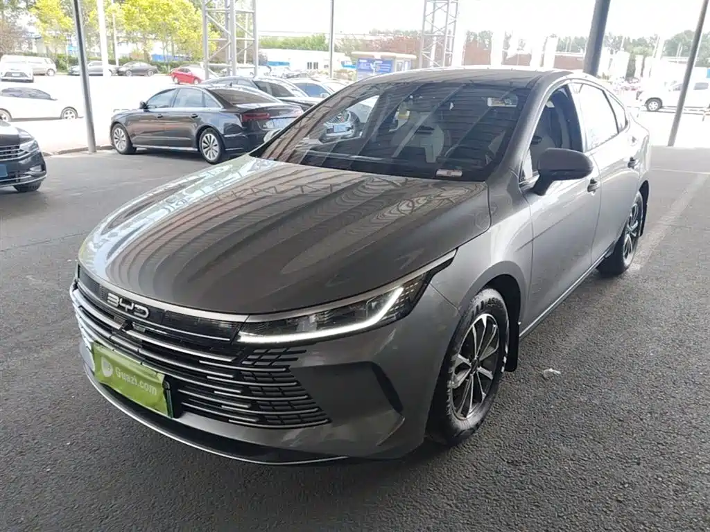 BYD Destroyer 05 2024 Glory Edition DM-i 55KM Luxury фото 2