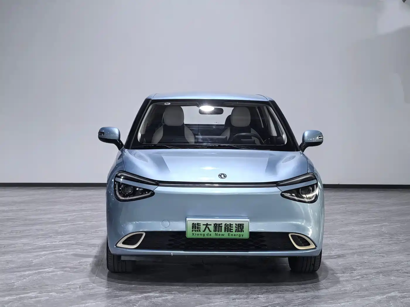 Dongfeng Yipai Nano 01 2024 2024 330 Air