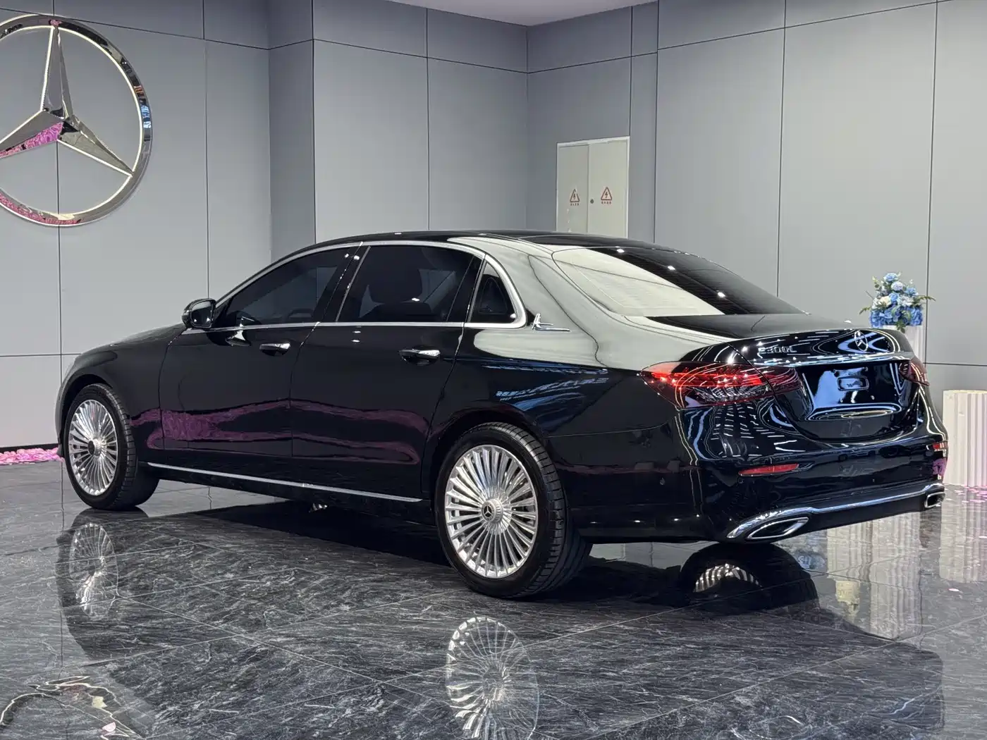 Mercedes-Benz E-Class 2023 E 300 L Luxury фото 9