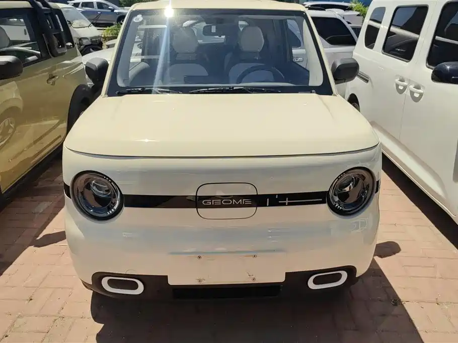 Geely Galaxy Panda 2025 Model Year 210km Panda Kart фото 2
