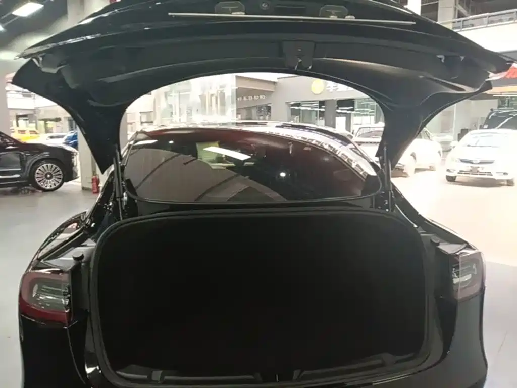 Tesla Model 3 2020 2020 Standard Range Rear-Wheel Drive Upgrade