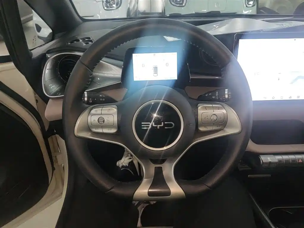 BYD Dolphin 2024 Glory Edition 420km Freedom Edition фото 11