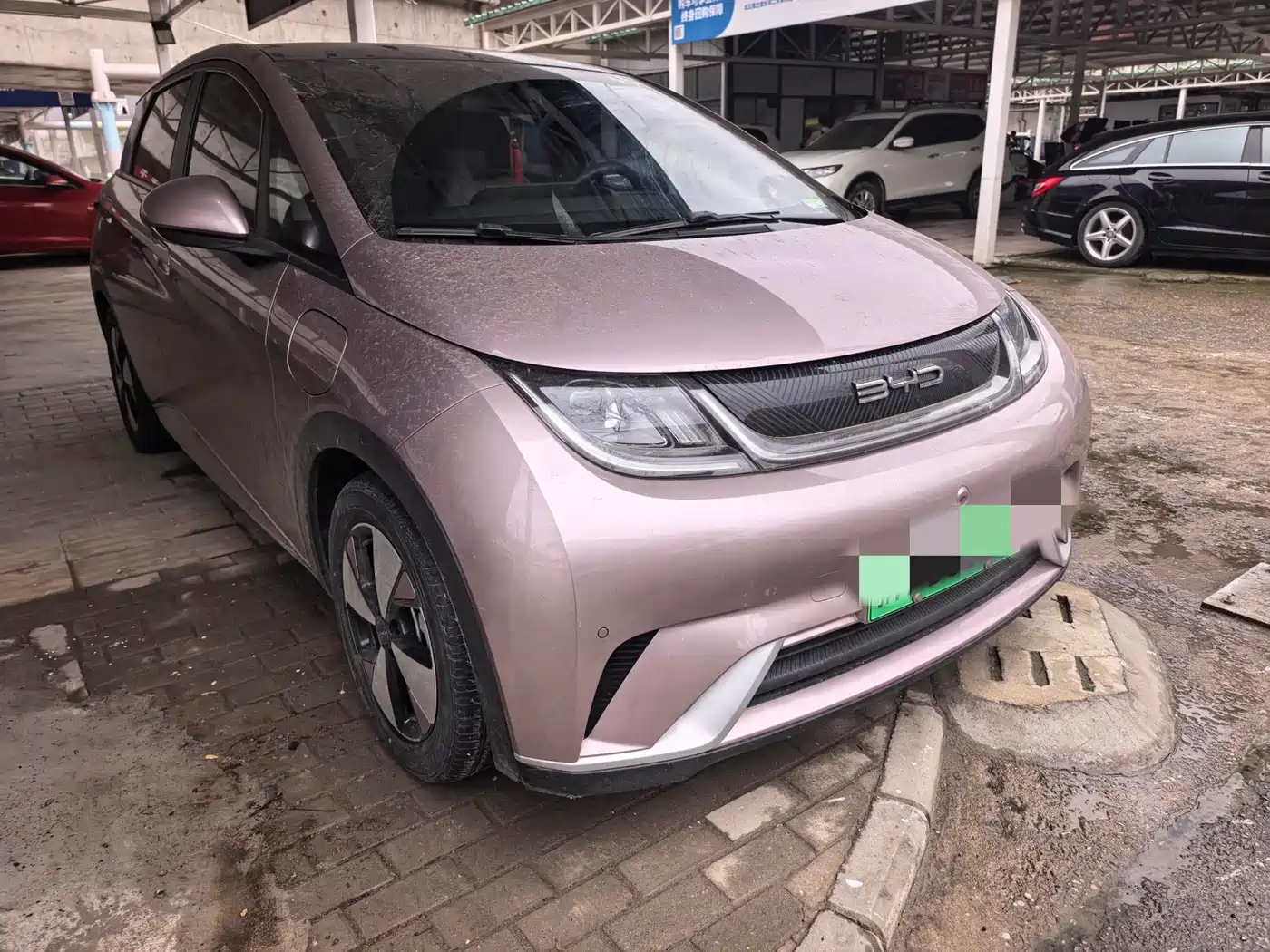 BYD Dolphin 2023 420km Fashion Edition фото 3