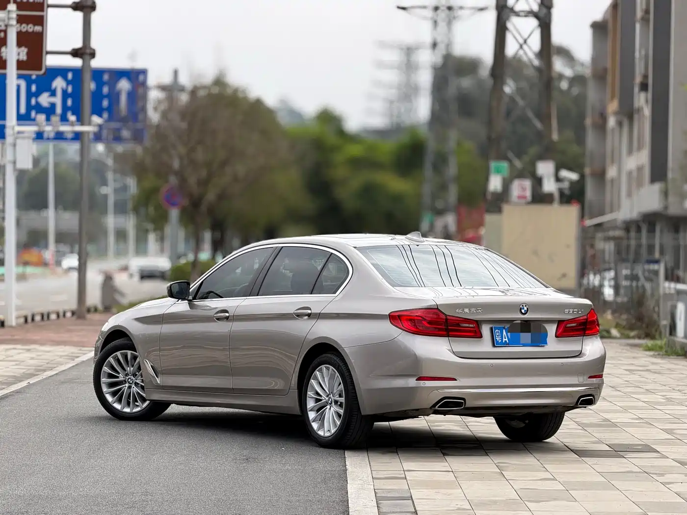 BMW 5 Series 2020 530Li Leading Luxury Package фото 2