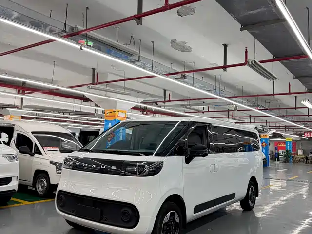 Maxus 大拿M1 M1 长轴低顶 非营运版 64kWh 9座
