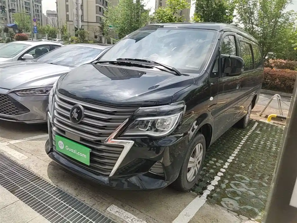 DONGFENG POPULAR LINGZHI 2024