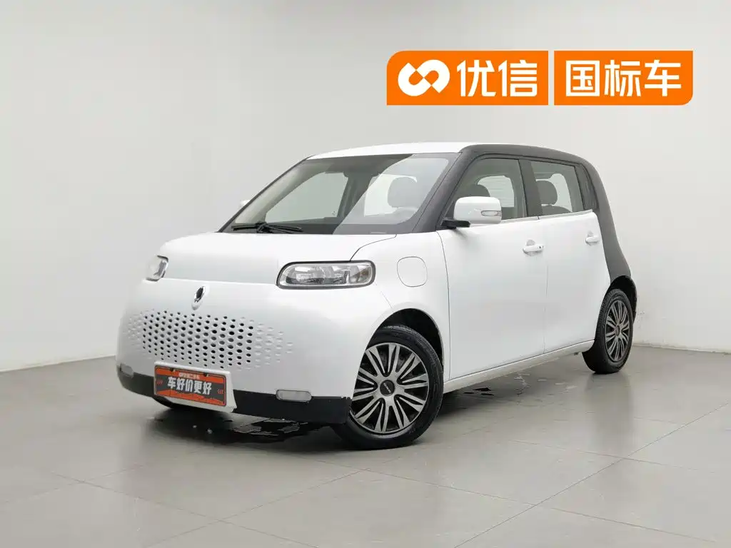 Ora White Cat 2020 2020 360km Luxury Model