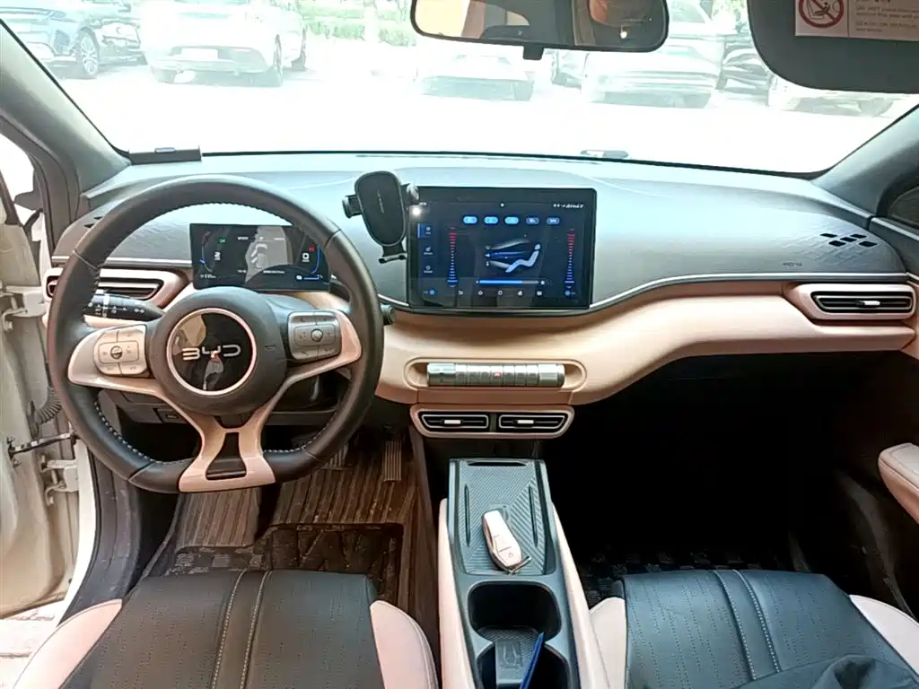 BYD Seagull 2024 Glory Edition 305km Freedom Edition фото 10