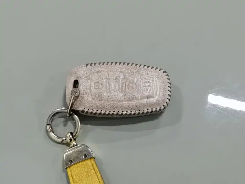 Ora White Cat 2021 2020 305km Luxury