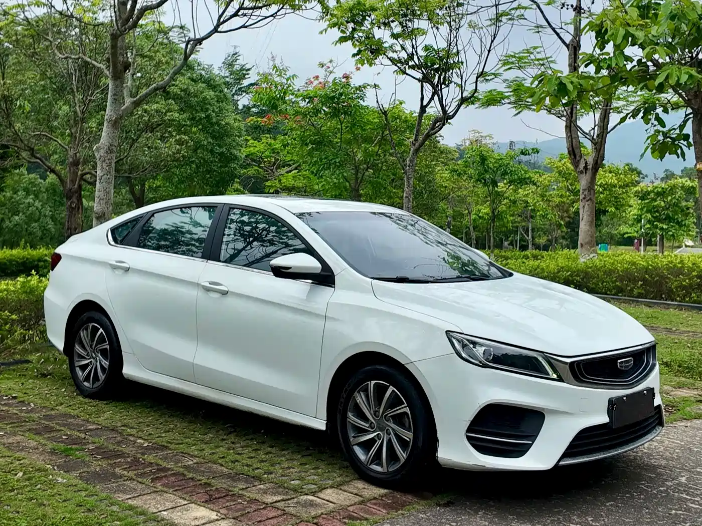 Фото 3 - Geely Binrui