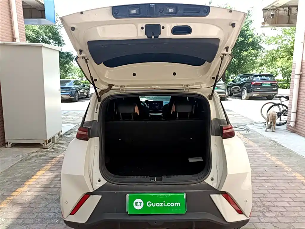 BYD Seagull 2024 Glory Edition 305km Freedom Edition фото 19