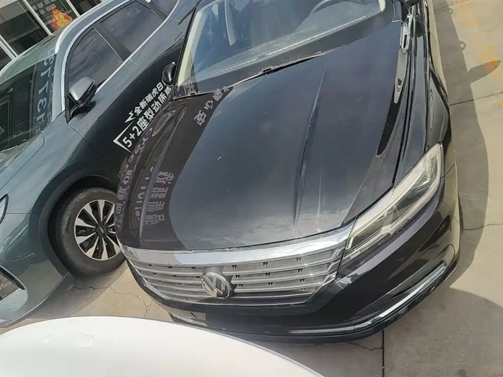 VOLKSWAGEN LAVIDA
