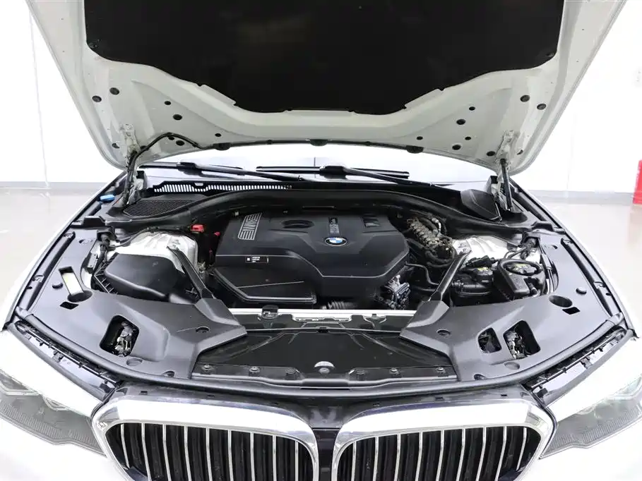 BMW 5 Series 2018 528Li Launch Special Edition фото 31