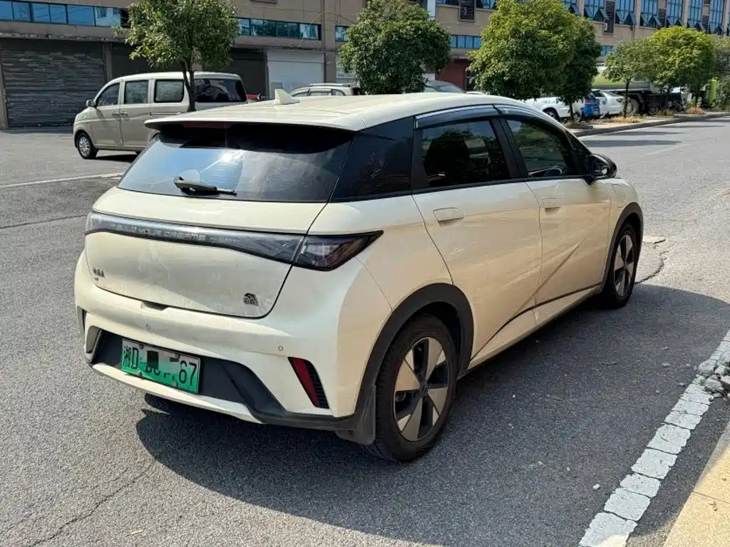 Фото 6 - BYD Dolphin