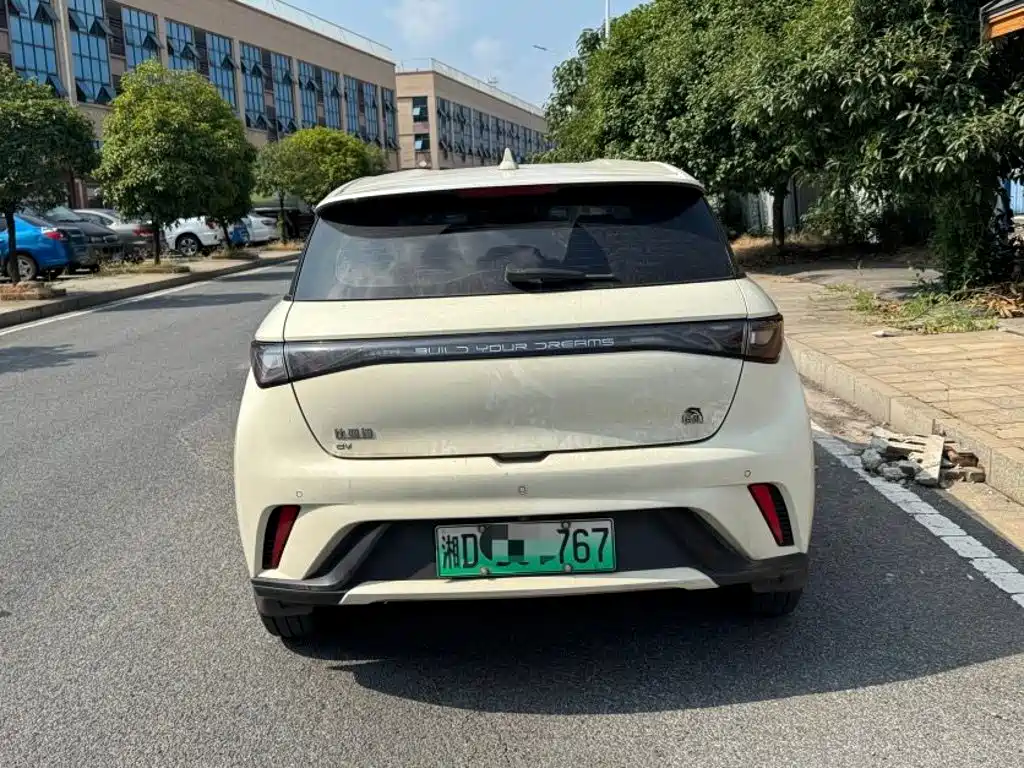 Фото 5 - BYD Dolphin