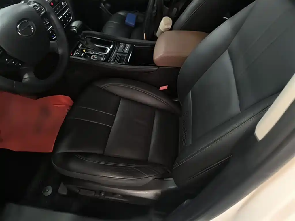 GAC Trumpchi Trumpchi GS8 2017 320T 2WD Luxury Smart Connect (7-seater) фото 15