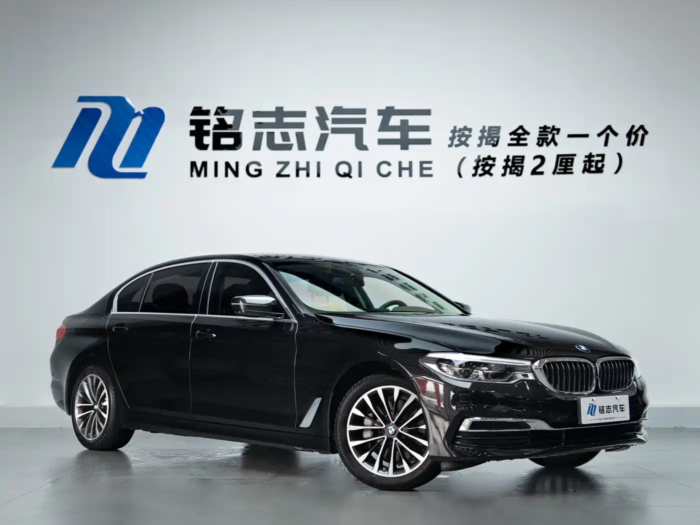 BMW 5 Series 2020 530Li Premium Luxury Package фото 3