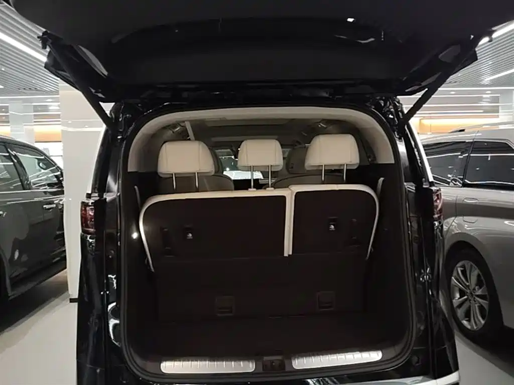 Denza D9 2024 DM-i 980 AWD Prestige фото 19