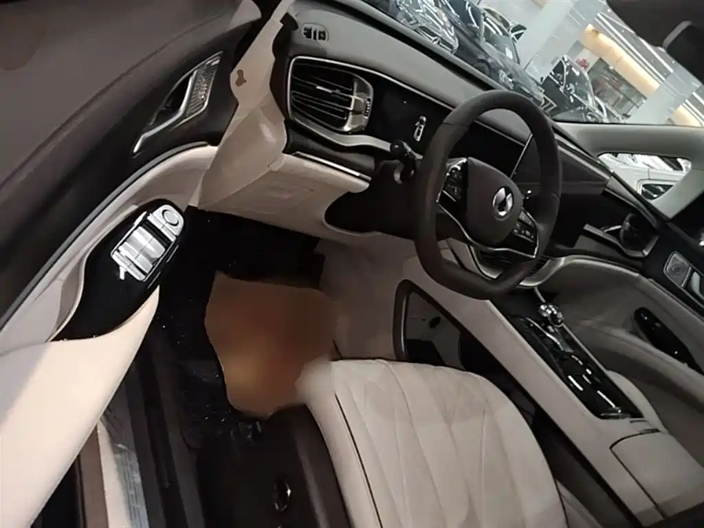 Denza D9 2024 DM-i 980 AWD Prestige фото 16