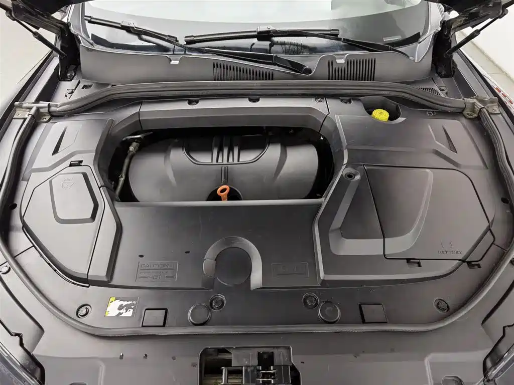 WEI PAI WEI BRAND VV5