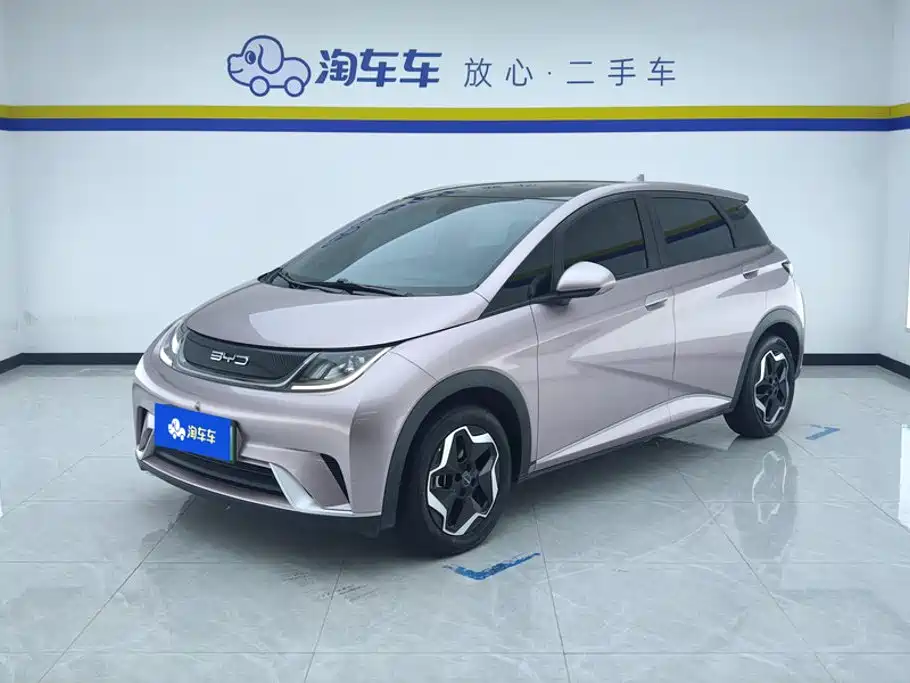 BYD Dolphin 2021
