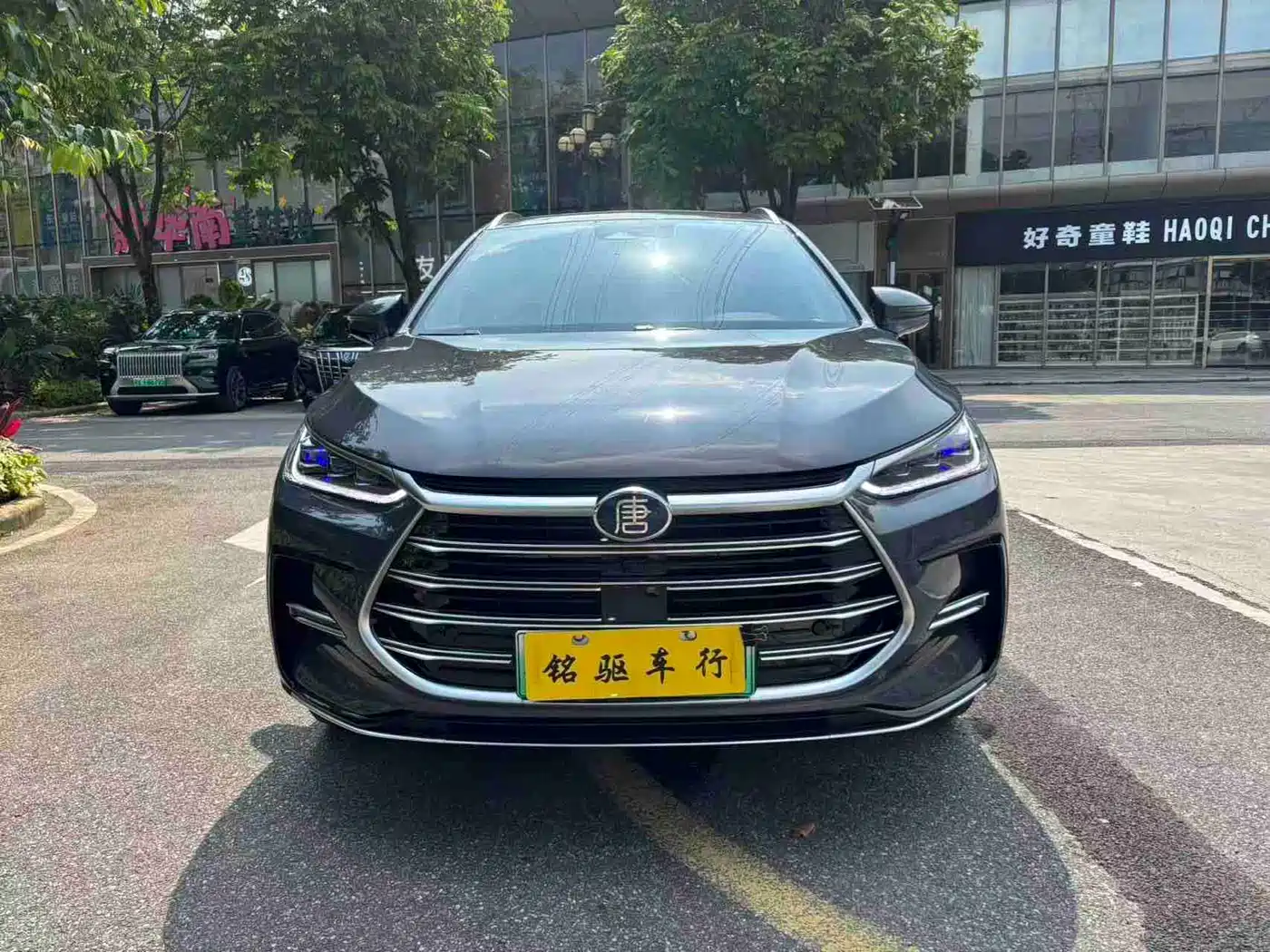 BYD Tang New Energy 2021 DM-i 112KM Honor фото 2