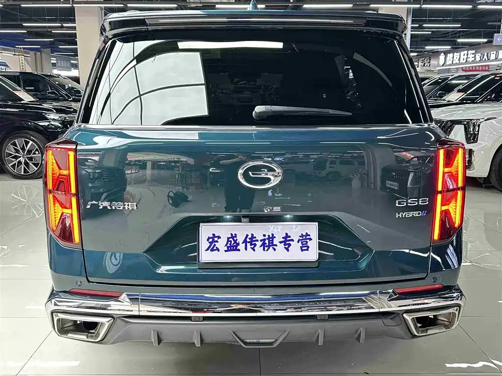 GAC Trumpchi Trumpchi GS8 2022 Dual Engine Series 2.0TM 2WD Premium Edition (6-Seater) фото 34