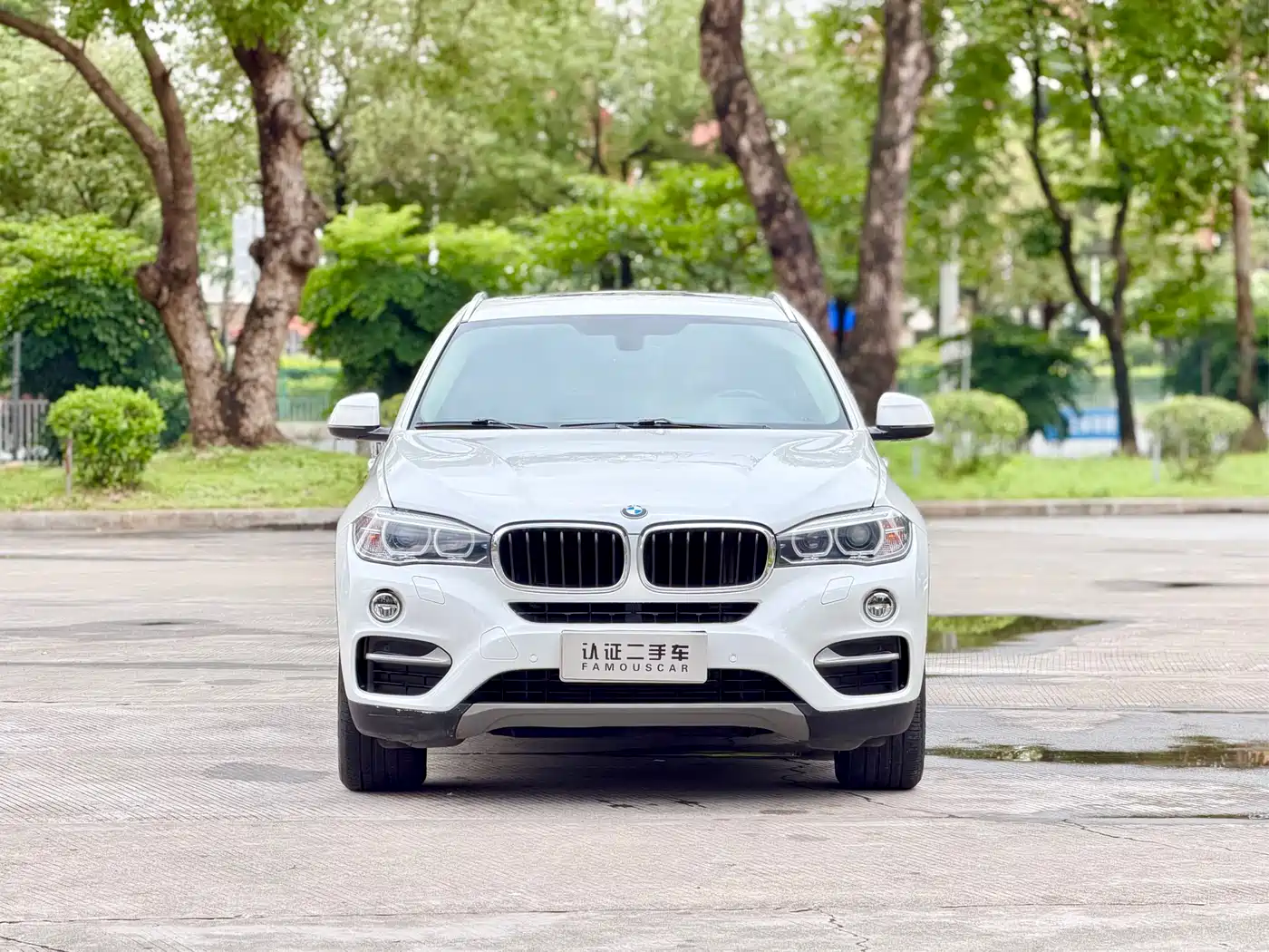BMW X6 2015 xDrive35i Luxury Model фото 2