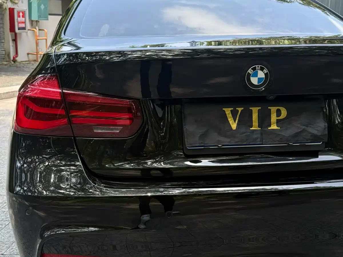 BMW 3 Series 2018 320Li Leading M Sport Package фото 9