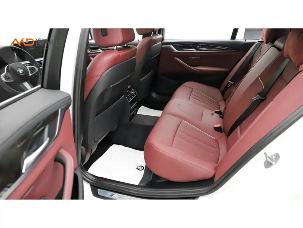 BMW 5 Series 2021 525Li M Sport Package фото 7