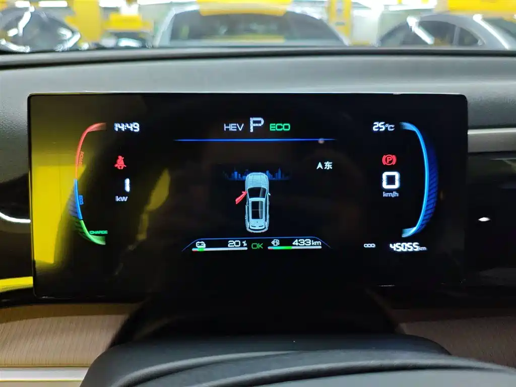 BYD Song Pro New Energy 2024 Glory Edition DM-i 71KM Pilot фото 8