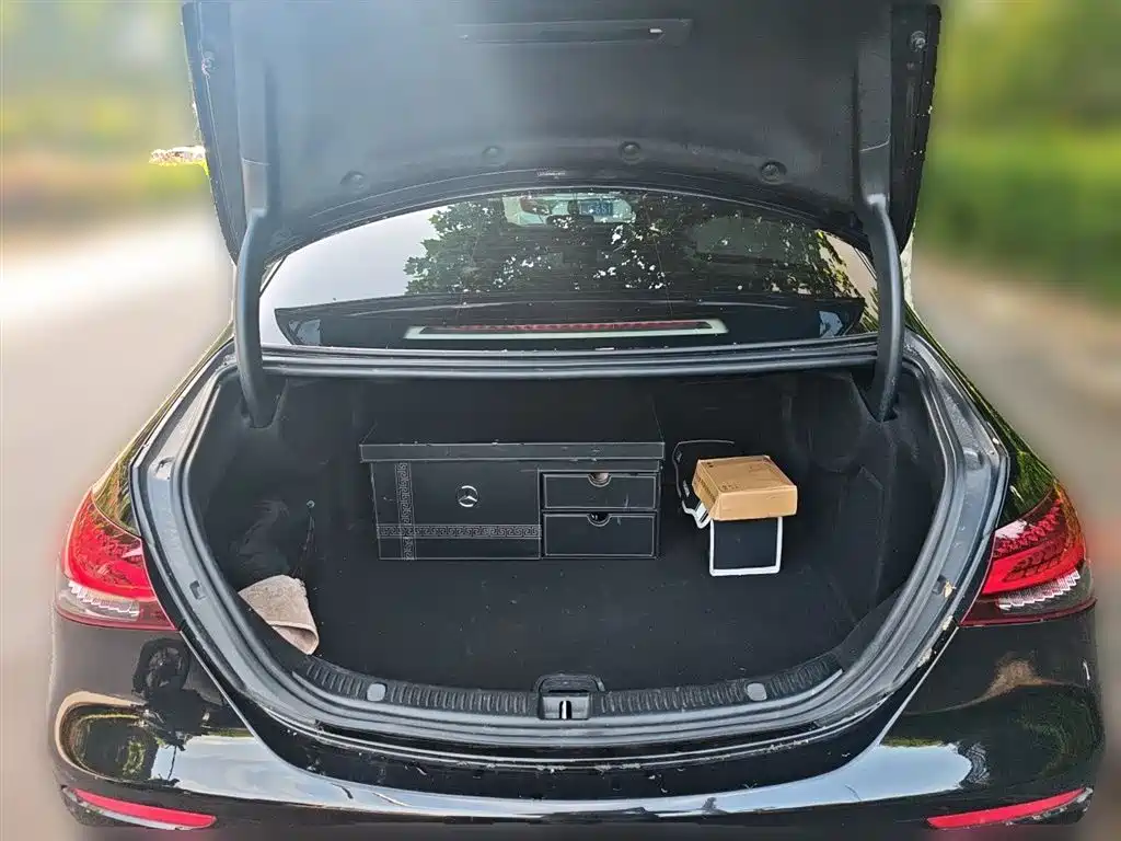 Mercedes-Benz E-Class 2021 E 300 L Luxury фото 10