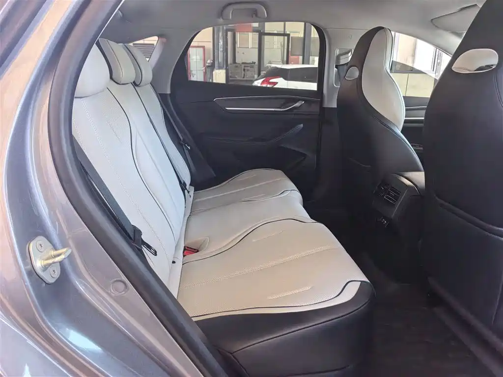 BYD Destroyer 05 2024 Glory Edition DM-i 55KM Luxury фото 25