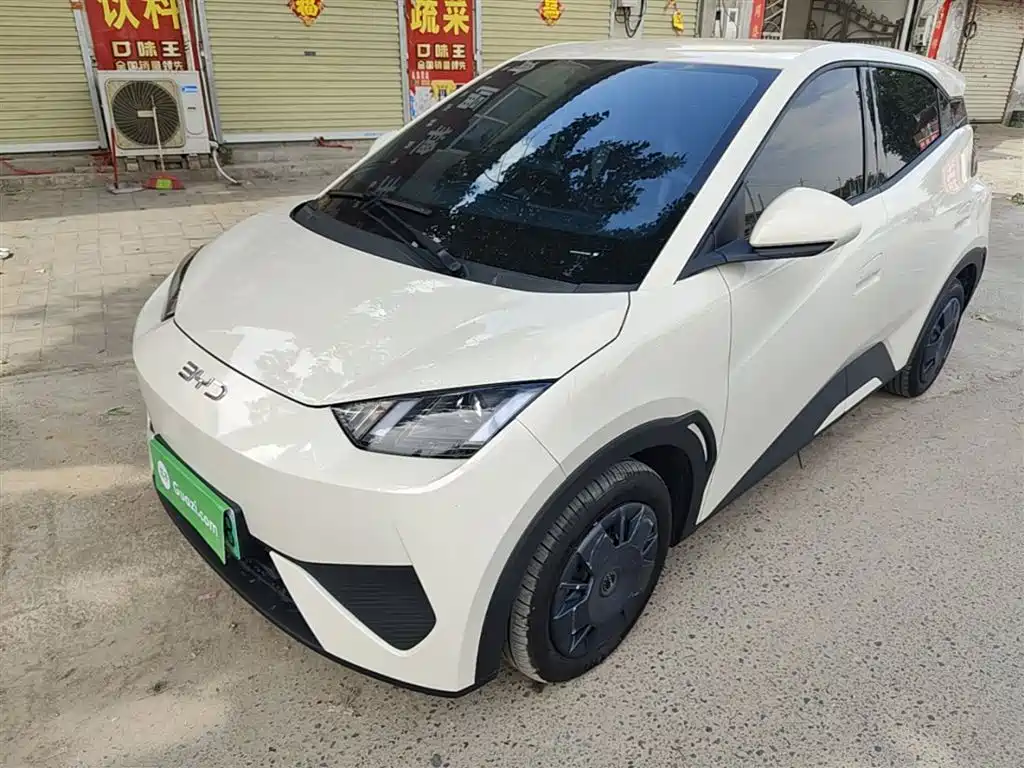 BYD Seagull 2025 Smart Drive Edition 305km Vitality Version