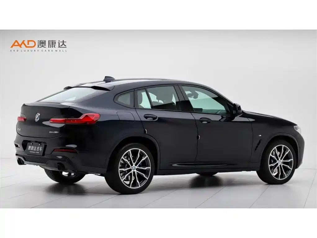 BMW X4 2021 xDrive 30i M Sport Glorious Night Package фото 3