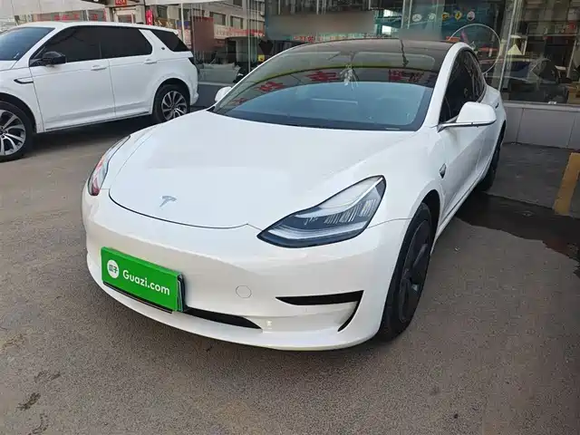 TESLA MODEL 3 2020