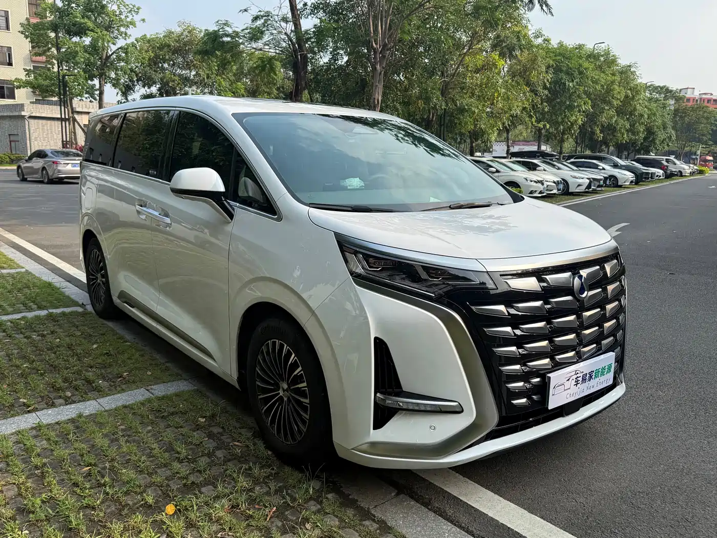 Denza D9 2022 DM-i 1040 Premium фото 6